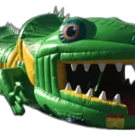 Iguana Obstacle Course