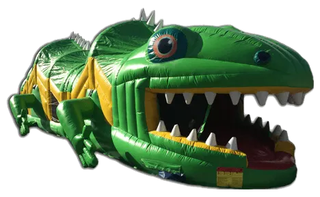 175cc3674e5c04addb12550515684c0a.webp Iguana Obstacle Course - Image 1