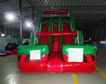 19′ Toxic Dual Lane DRY Slide - Image 2
