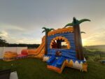 Rasta Splash Curve Combo - Image 3